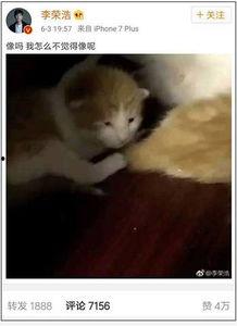 娱乐吃瓜酱小动物视频