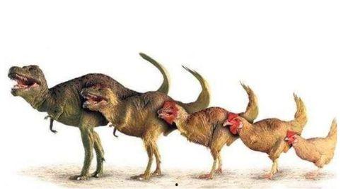 他是龙图片,探寻神秘生物的奇幻之旅